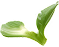 Info block icon