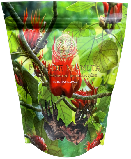Flor De Manita
