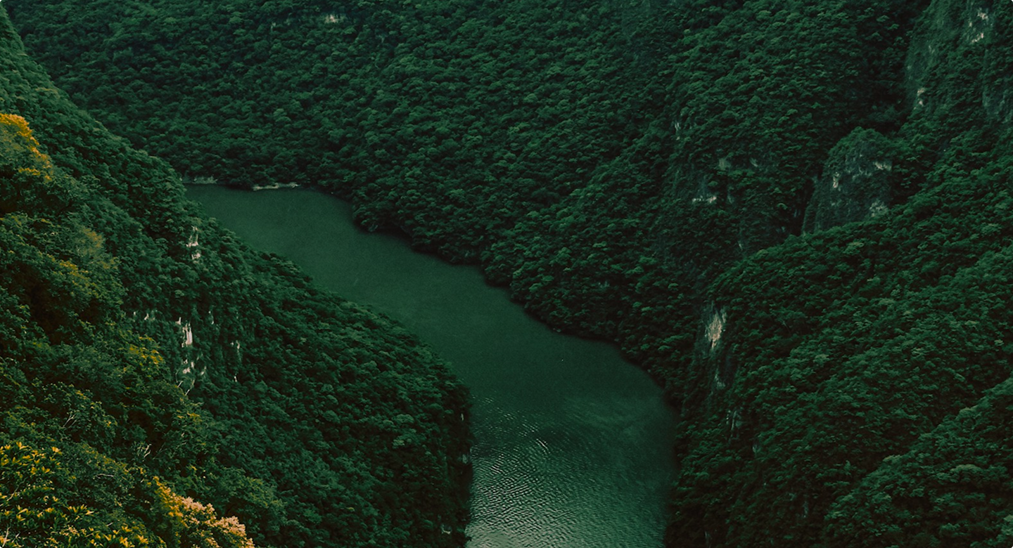 Nature’s Secret to General Well-being