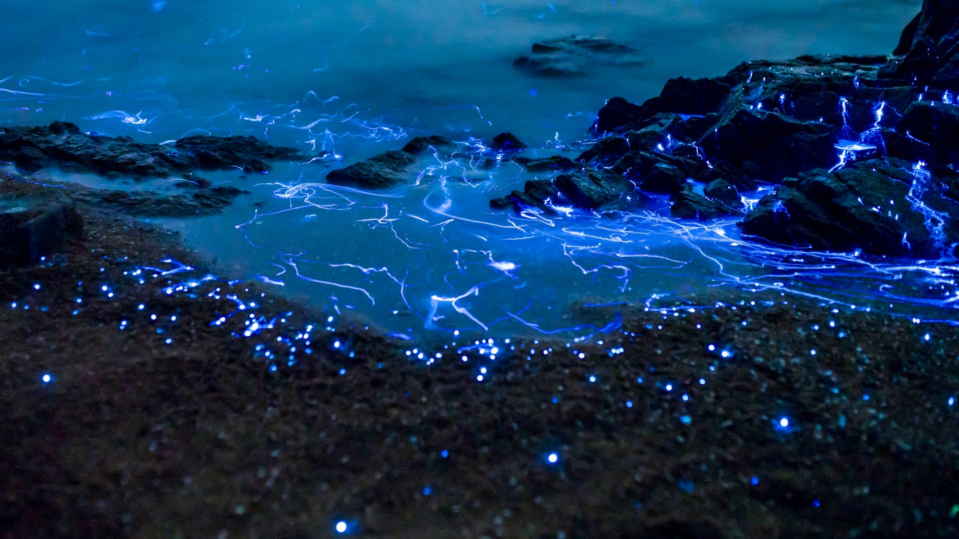 Nature’s Secret to Healthy Well-being